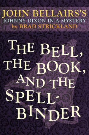 Cover of the book The Bell, the Book, and the Spellbinder by N. E. Glover