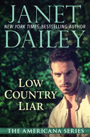 Cover of the book Low Country Liar by Elizabeth A. Lynn