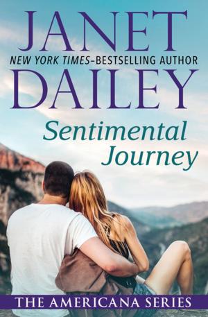 Cover of the book Sentimental Journey by Jennifer Johnston