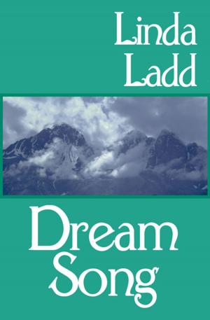 Cover of the book Dream Song by Catherine Aird