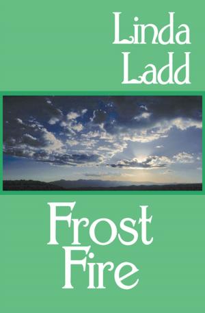 Cover of the book Frost Fire by Margery Sharp