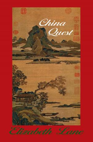 Book cover of China Quest