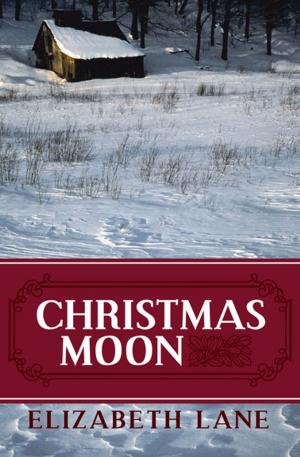 Cover of the book Christmas Moon by Harry Paige, PhD