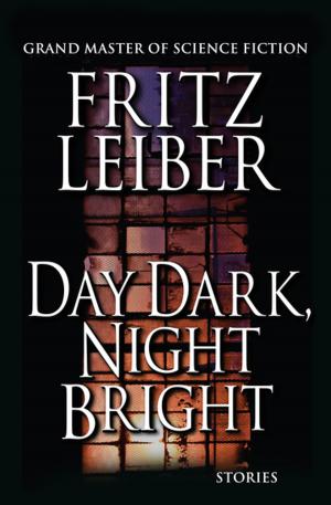 Cover of the book Day Dark, Night Bright by Doris Grumbach