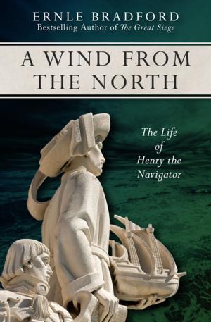 Cover of the book A Wind from the North by Karin Schwind