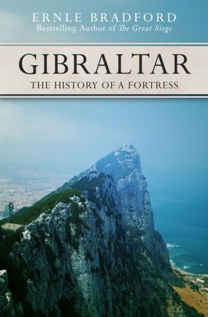 Cover of the book Gibraltar by Steve Erickson