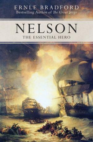 Cover of the book Nelson by Kate Thompson