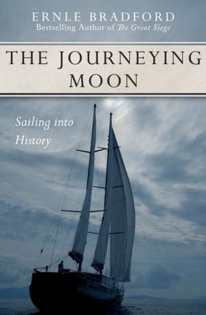 Book cover of The Journeying Moon