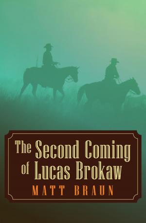 bigCover of the book The Second Coming of Lucas Brokaw by 