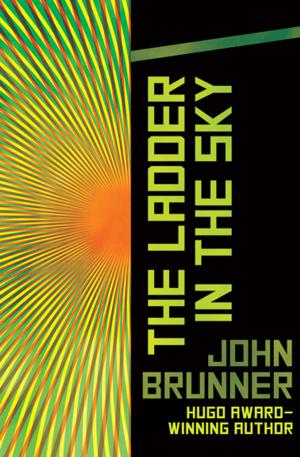 Cover of the book The Ladder in the Sky by James Matt Cox