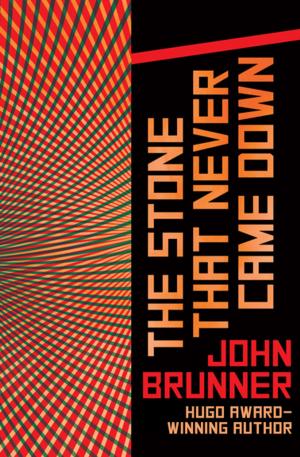 bigCover of the book The Stone That Never Came Down by 