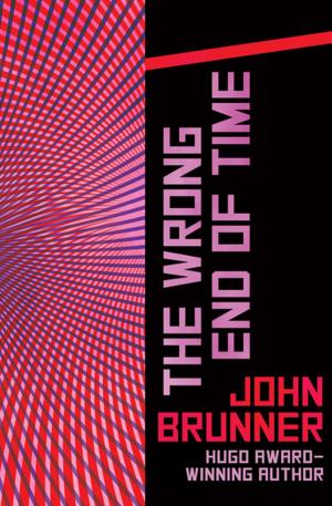 Cover of the book The Wrong End of Time by Bradley Warnes