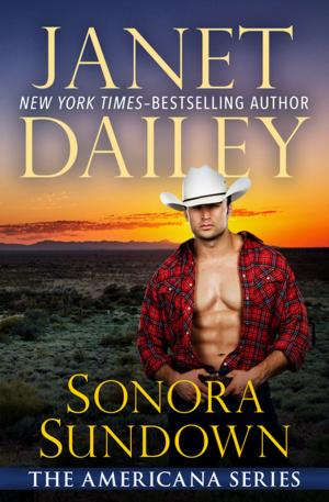 Book cover of Sonora Sundown