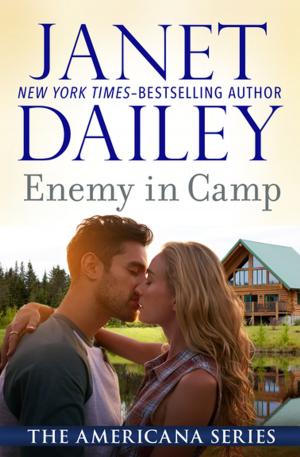 Cover of the book Enemy in Camp by Laurie Boris