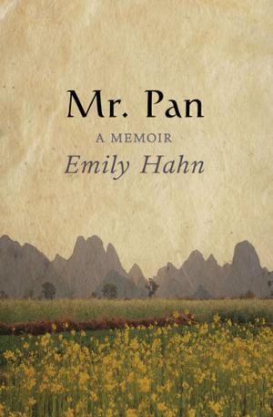 Cover of the book Mr. Pan by Anne Perry