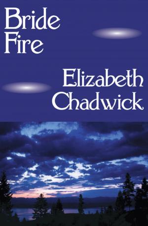 Cover of the book Bride Fire by Dorothy Simpson