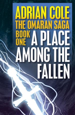 Book cover of A Place Among the Fallen