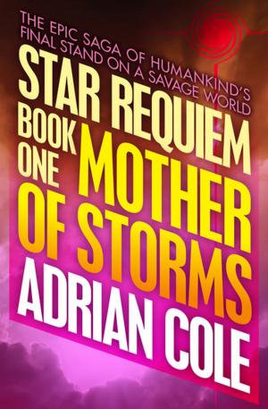 Cover of the book Mother of Storms by Cory Richardson