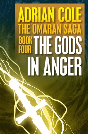bigCover of the book The Gods in Anger by 