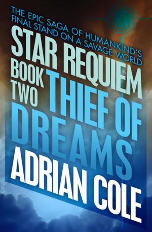 Cover of the book Thief of Dreams by Frank Lauria