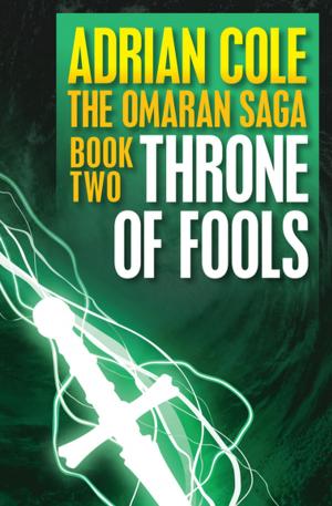 Cover of the book Throne of Fools by Mack Maloney