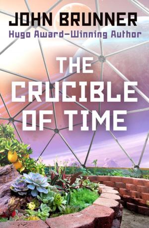 Cover of the book The Crucible of Time by John Bellairs