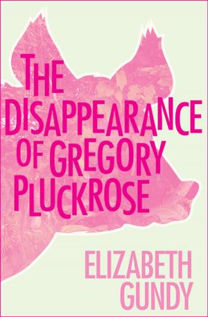 Cover of the book The Disappearance of Gregory Pluckrose by Fred Kaplan