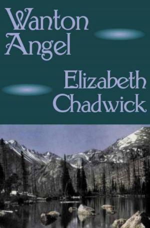 Cover of the book Wanton Angel by Olivia Kelly