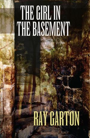Book cover of The Girl in the Basement