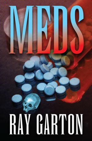Cover of the book Meds by Sandra Kitt