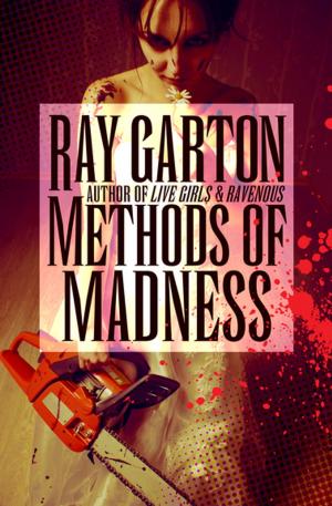 Cover of the book Methods of Madness by Jaqueline Girdner