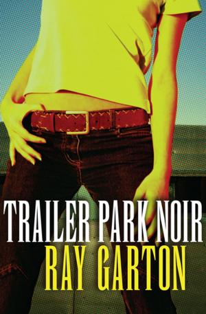 Cover of the book Trailer Park Noir by Bruce Jay Friedman