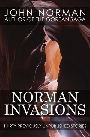 Cover of the book Norman Invasions by William Styron