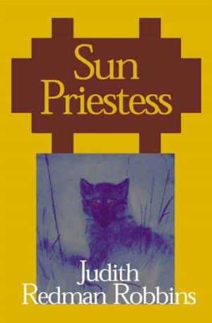 Cover of the book Sun Priestess by Leslie Alan Horvitz
