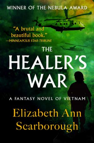 Cover of the book The Healer's War by Gail Rock