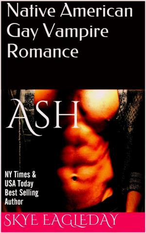 Cover of the book Ash (Native American Gay Vampire Romance) by Amanda Pillar