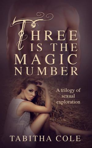 Cover of the book Three is The Magic Number: A Trilogy of Sexual Exploration (Multiple partner, double penetration, threesome, orgy erotica) by Ali De La Luna