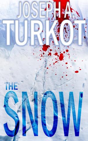Cover of The Snow