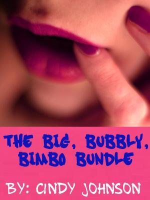 Book cover of The Big, Bubbly, Bimbo Bundle