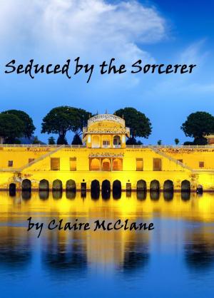 Cover of Seduced by the Sorcerer