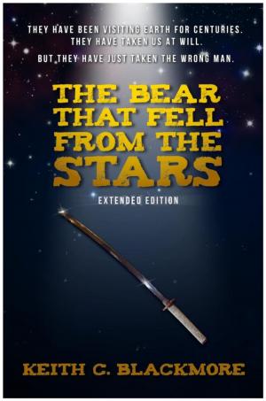 Cover of The Bear That Fell From The Stars