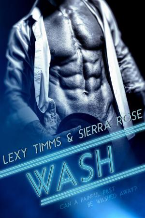 Cover of the book Wash by Jennifer Sharp