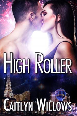 Cover of the book High Roller by DP Denman