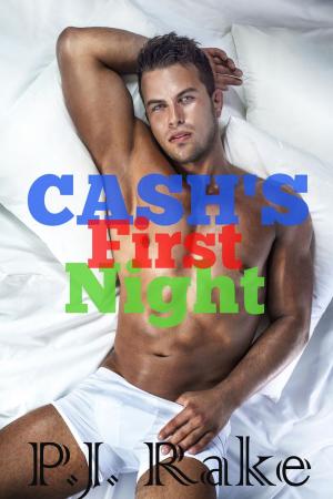 bigCover of the book Cash's First Night by 
