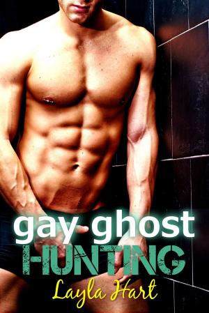 Cover of the book Gay Ghost Hunting by Shea Malloy