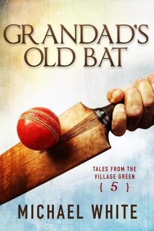 Cover of the book Grandad's Old Bat by David R. Hawkins