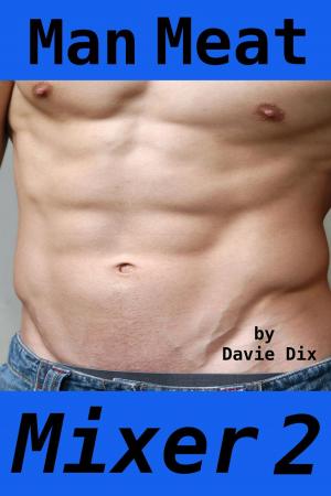 Cover of the book Man Meat, Mixer 2 by Davie Dix