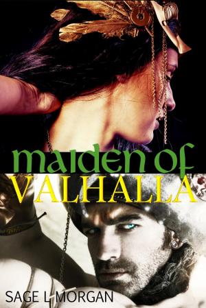 Cover of the book Maiden of Valhalla by K.L. Silver