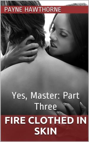 Book cover of Fire Clothed in Skin - Yes, Master: Part 3