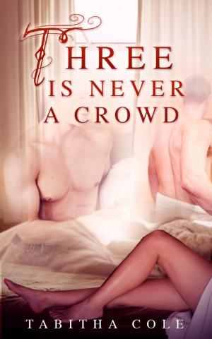 Cover of Three is Never a Crowd (Multiple partner, double penetration, Mmf bisexual orgy erotica)